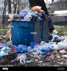 Best Yard Waste Removal  in Oceanport, NJ